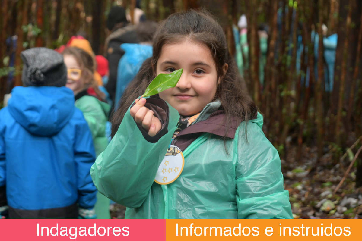Bachillerato-Internacional-instituto-aleman-puerto-montt-01